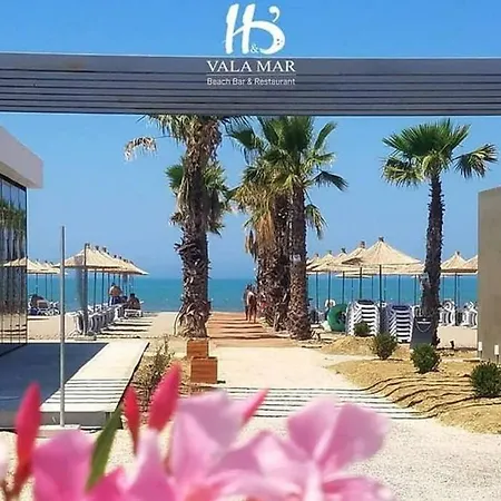 Welcome Hamallaj